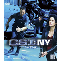 CSI: NY シーズン 6